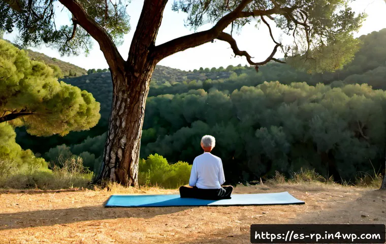 철저한 장소 조사로 자연 명상 효과 극대화하기 - Photorealistic wide-angle scene of a peaceful Mediterranean forest meditation spot in rural Spain, a...